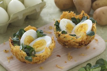 Nests of chips with eggs