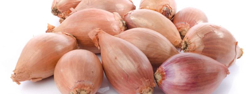 Aromatic and delicate shallot, why choose it and how to use it