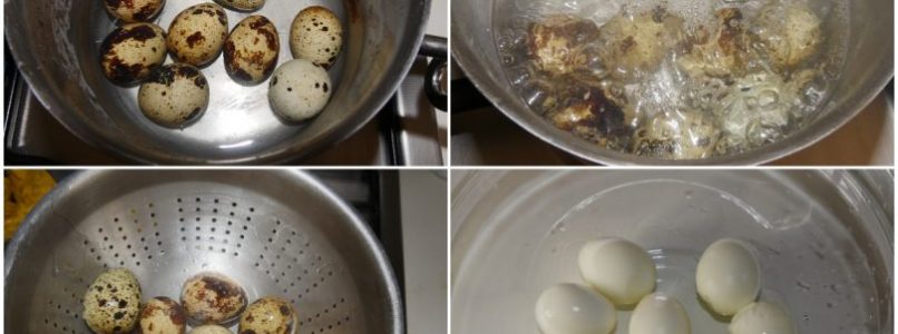 »Breaded and fried quail eggs
