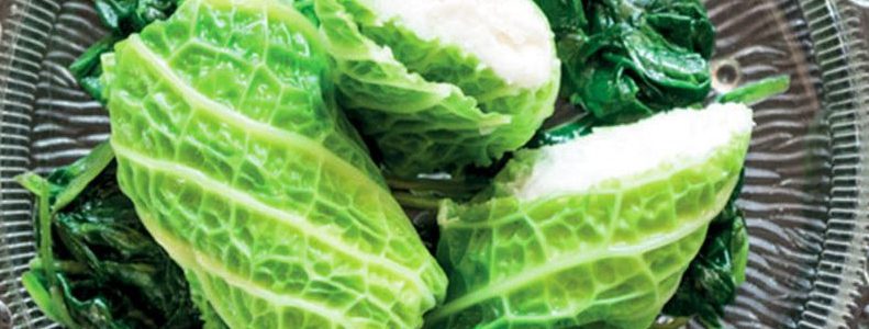 Cabbage: recipes to try and tips
