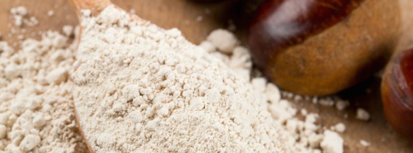 Chestnut flour: how is it used?