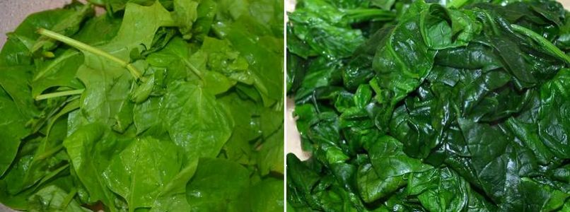 »Creamed spinach - Misya's Creamed spinach recipe