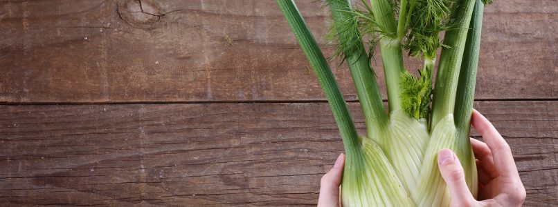 Fennel diet: how it works