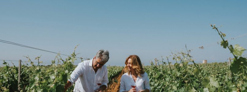 From Puglia, the rediscovery of Susumaniello wine