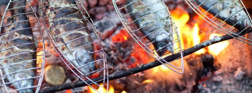 Grilled fish, cooking strategies