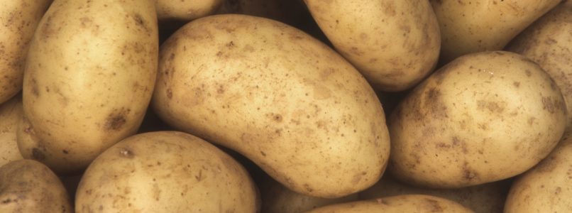 History of the potato - The stories of La Cucina Italiana