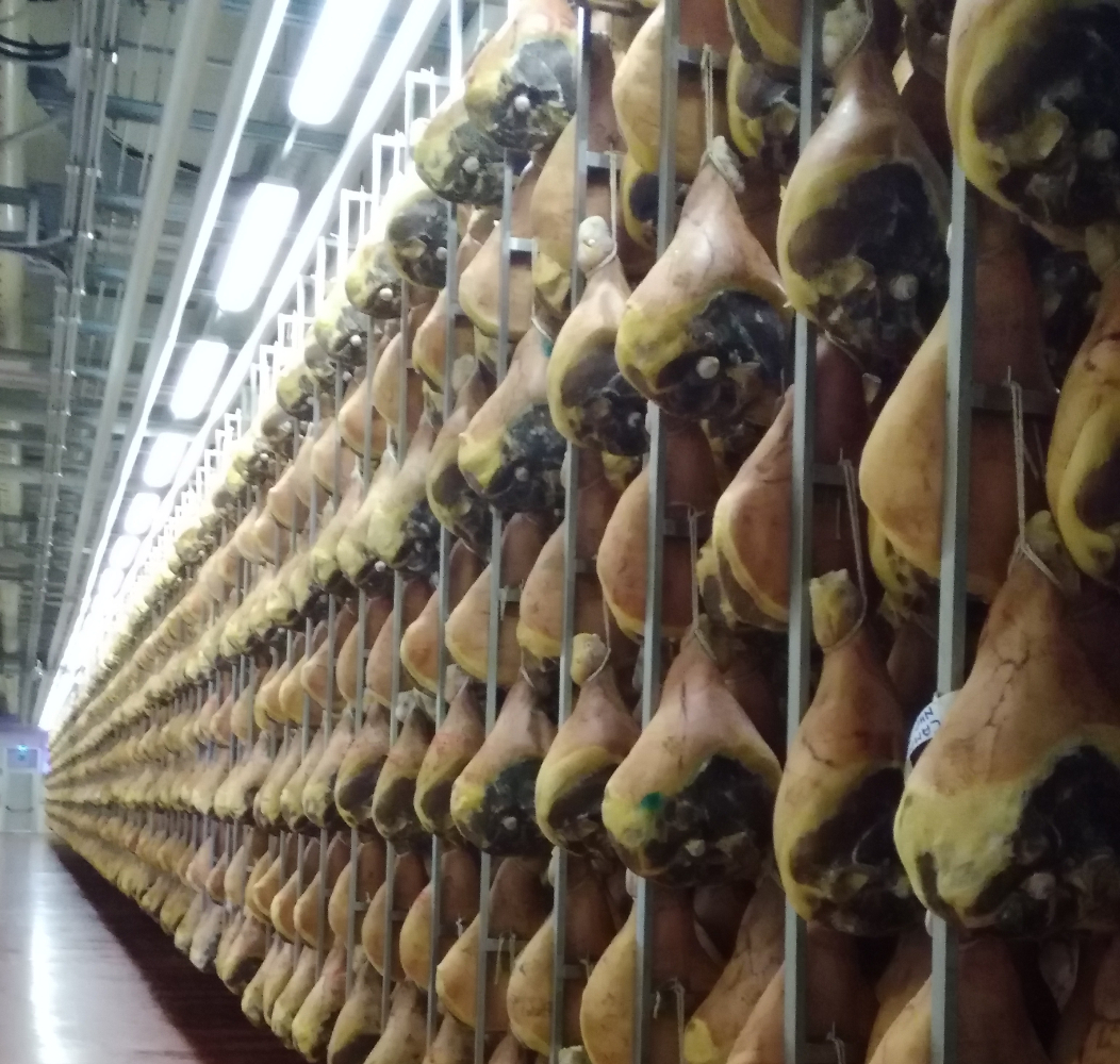 How PDO Parma Ham is born, an all-Italian excellence