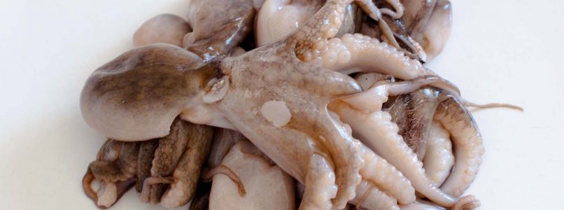 How to clean and cook baby octopus