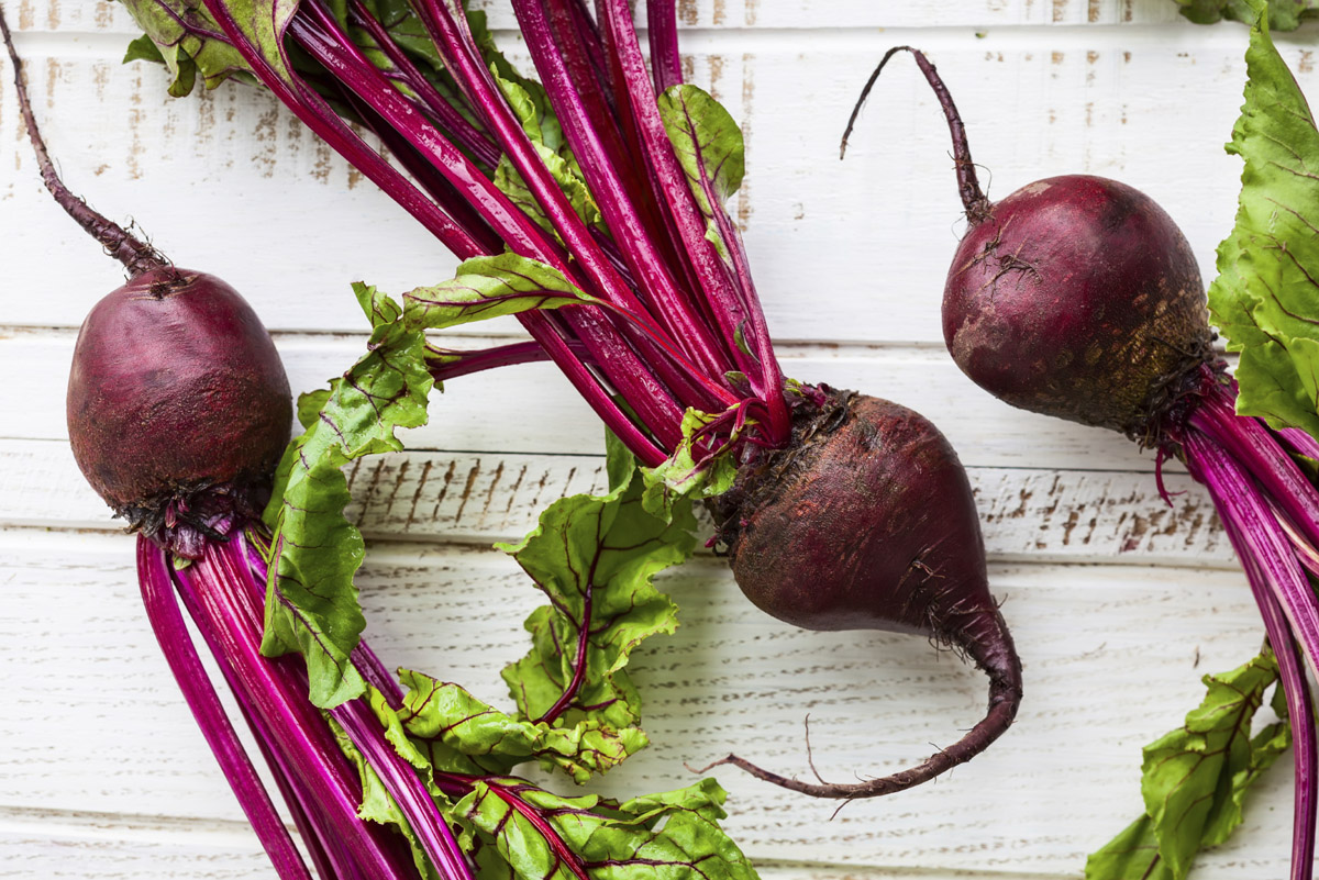 How to cook beetroot: 10 recipes