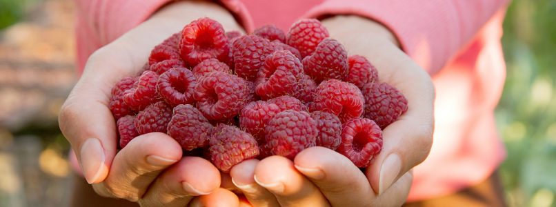 How to cook raspberries