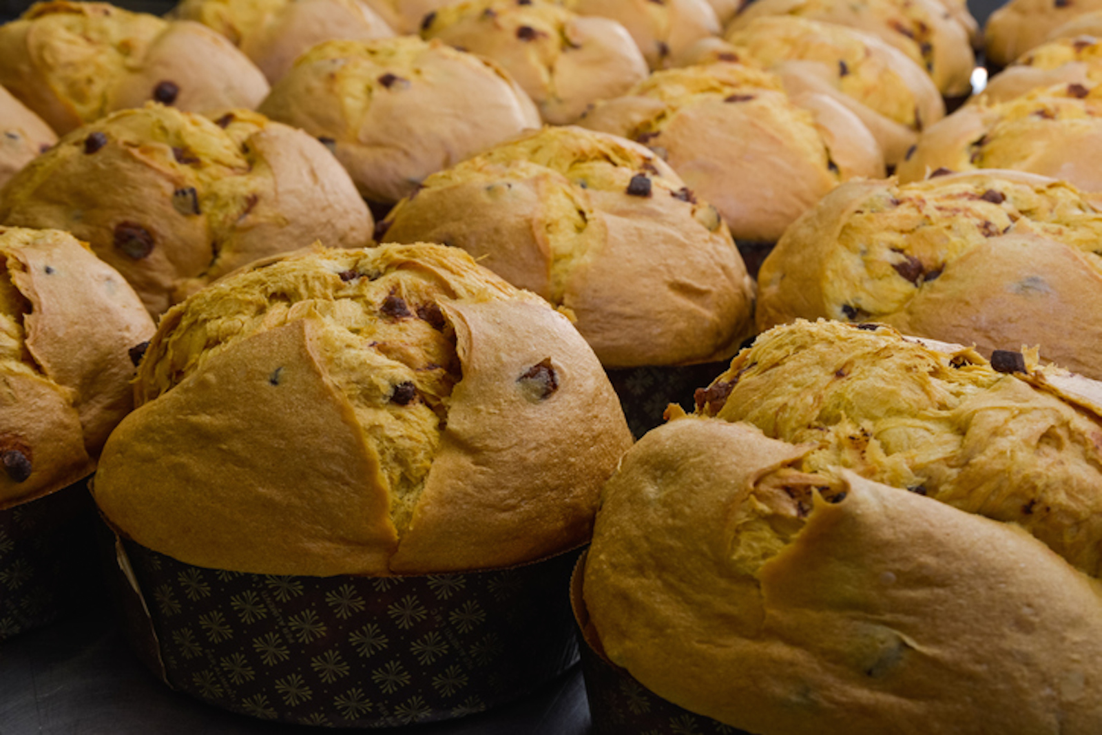 In Milan, two days of events with the "Panettone artists"