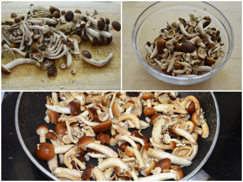»Lentil pie and mushrooms