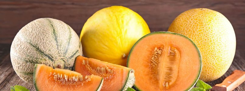 Melon: how to choose it and keep it
