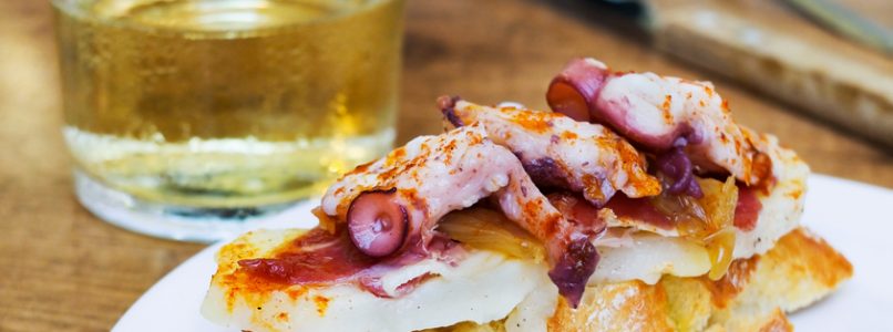 Octopus, 5 summer recipes - Italian Cuisine
