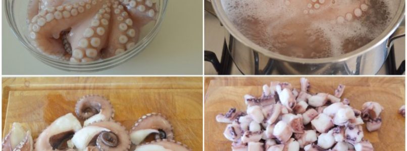 »Octopus and eggplant salad