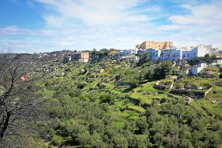 Puglia, not only sea: Valle d'Itria and «canyon»