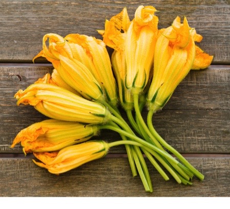 Pumpkin flowers: how to clean and cook them