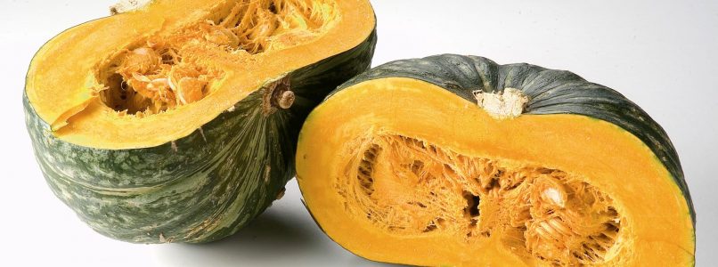 Pumpkin: know it to choose the best