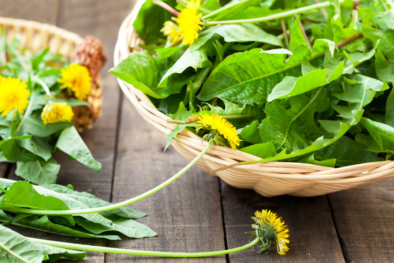 Purifying with the dandelion - Italian Cuisine
