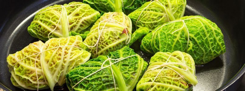 Savoy cabbage rolls, the classic recipe and the light variant