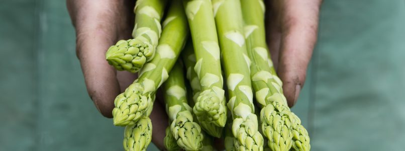 Seasonal vegetables: spending in April