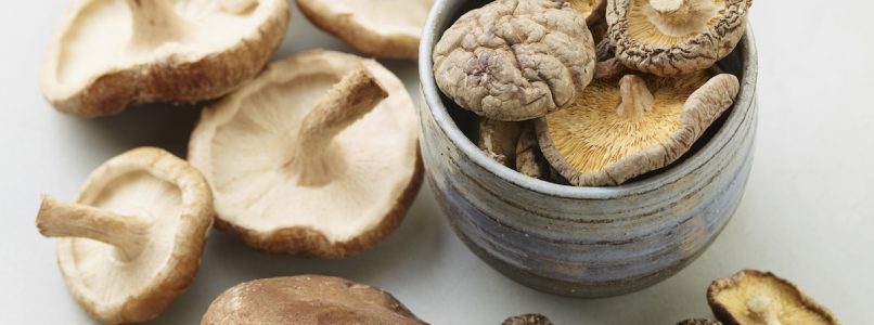 Shiitake mushrooms: from the East with flavor