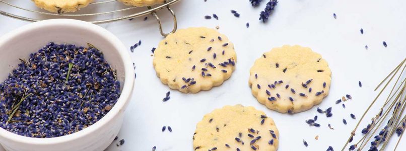 The charm of lavender ginger biscuits: a unique taste experience