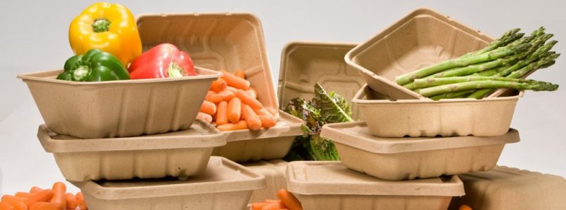 The ecological and innovative future of packaging and packaging