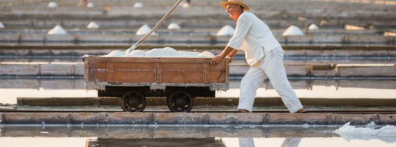 The history and traditions of the Sečovlje salt pans
