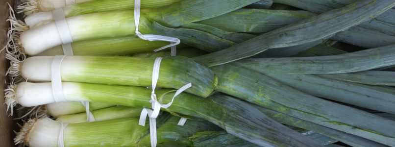 The leeks, how to choose and cook them