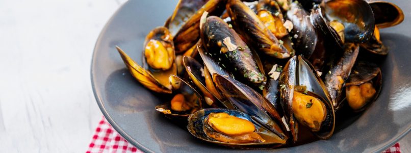 The mussel is celebrating (and so are we)