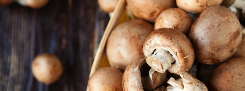 The nutritional values ​​of mushrooms