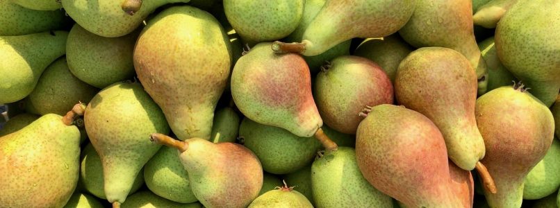 The pears (and apples) of the Bassa Friulana