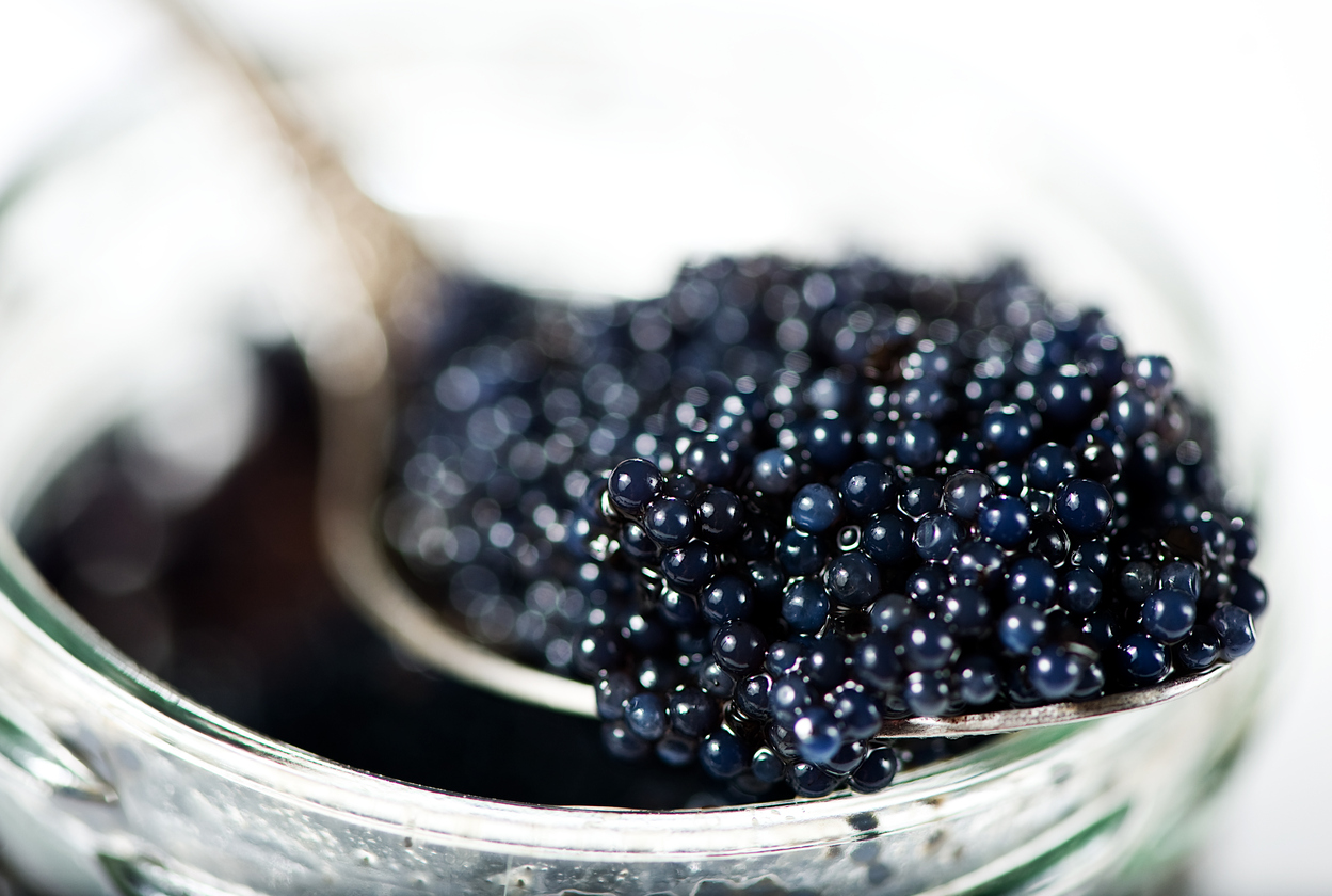 The real sturgeon caviar and low cost alternatives