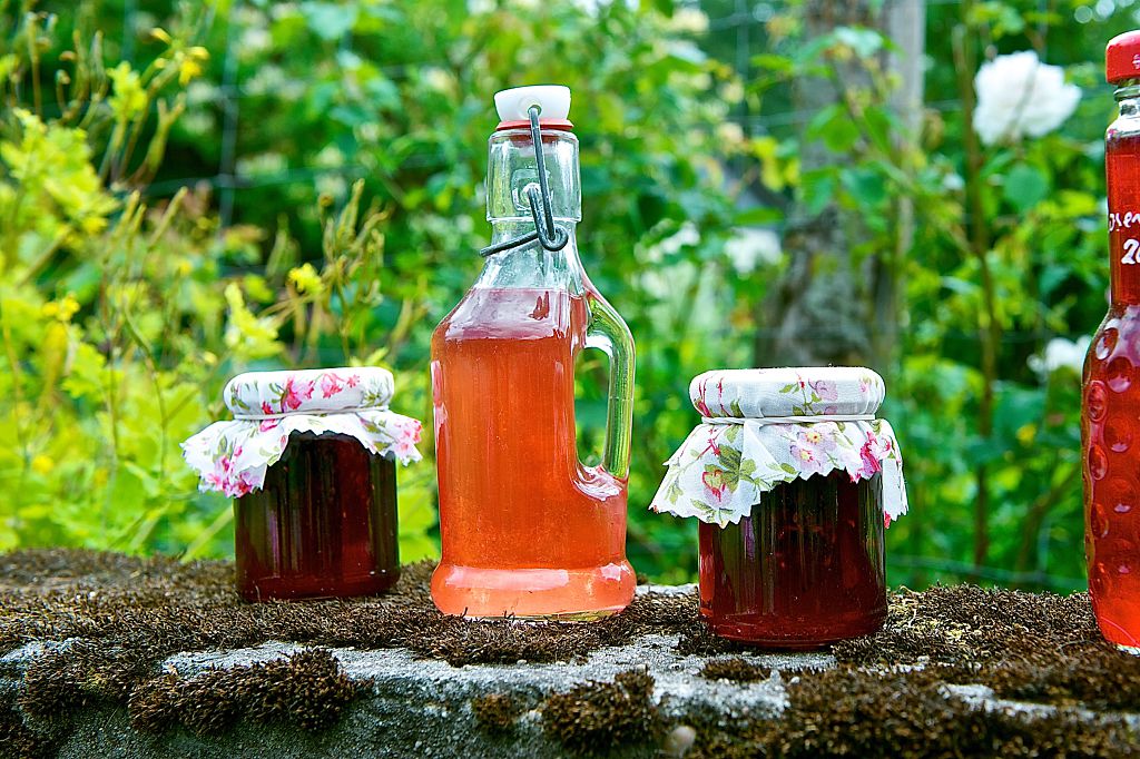 The rose in the kitchen: from syrup to Spritz