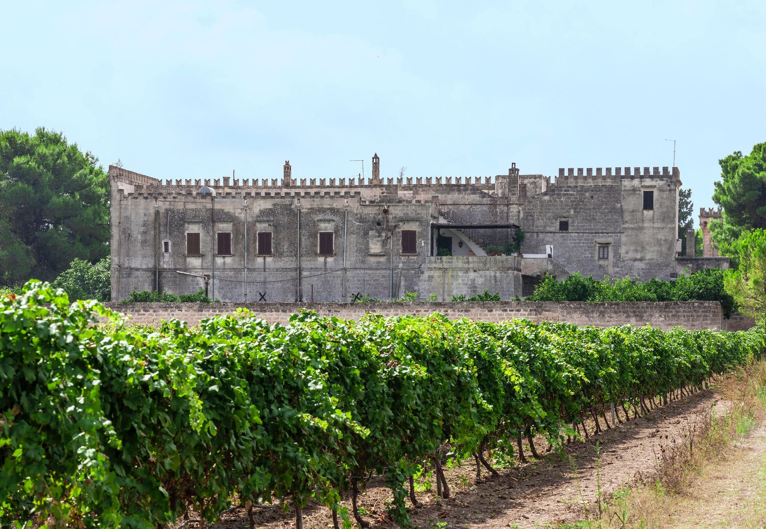 The wine of the week: Primitivo di Manduria sweet natural 2017 Varvaglione 1921