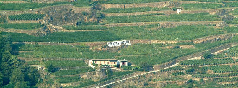 The wine of the week: Valtellina Superiore Vigneto Fracia 2015 Nino Negri