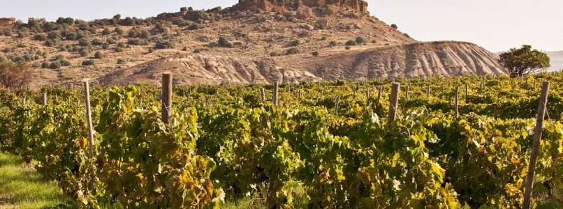 Valley of the Temples: the Wine Route is born