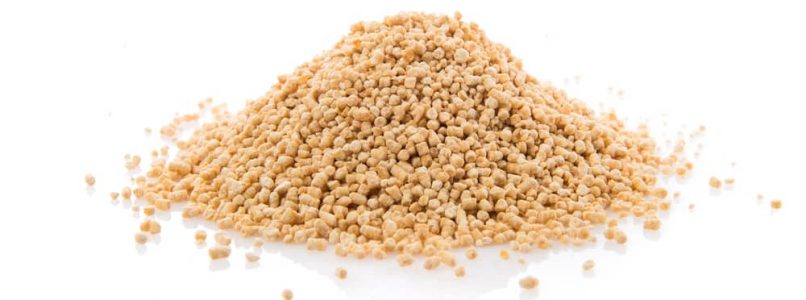 What is lecithin? Is it good or bad? Everything you need to know
