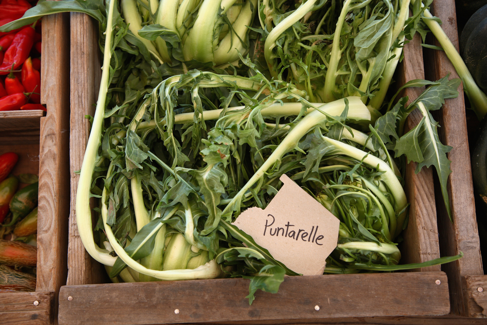 better raw or cooked? How to cook and eat chicory