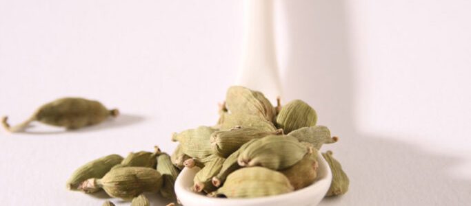 cardamom, a popular spice in the East