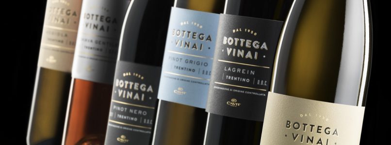 the new look of the Bottega Vinai line